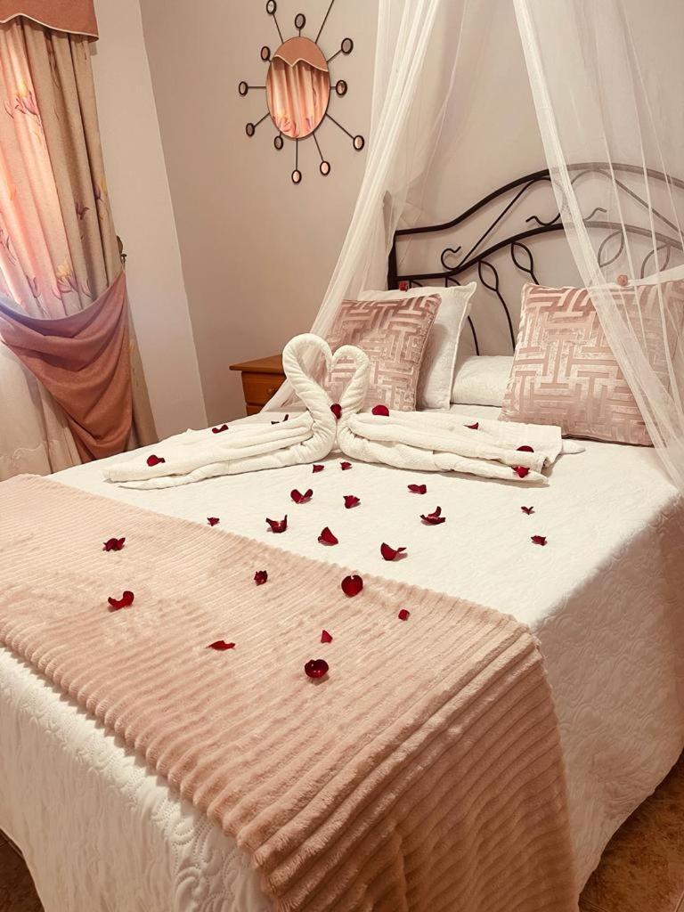 Fantastico Apartamento De 1 Habitacion En El Pris Tacoronte Extérieur photo